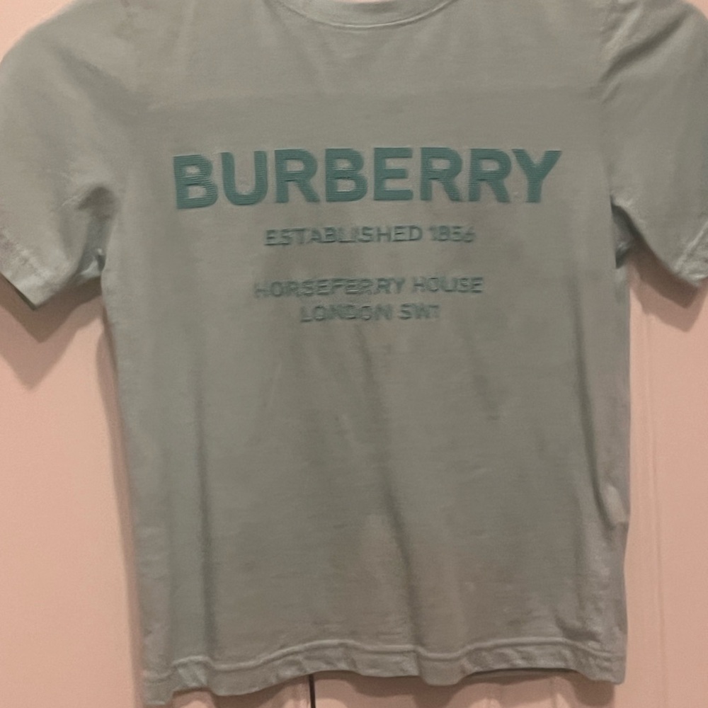 Burberry Gray T-Shirt with Teal Text